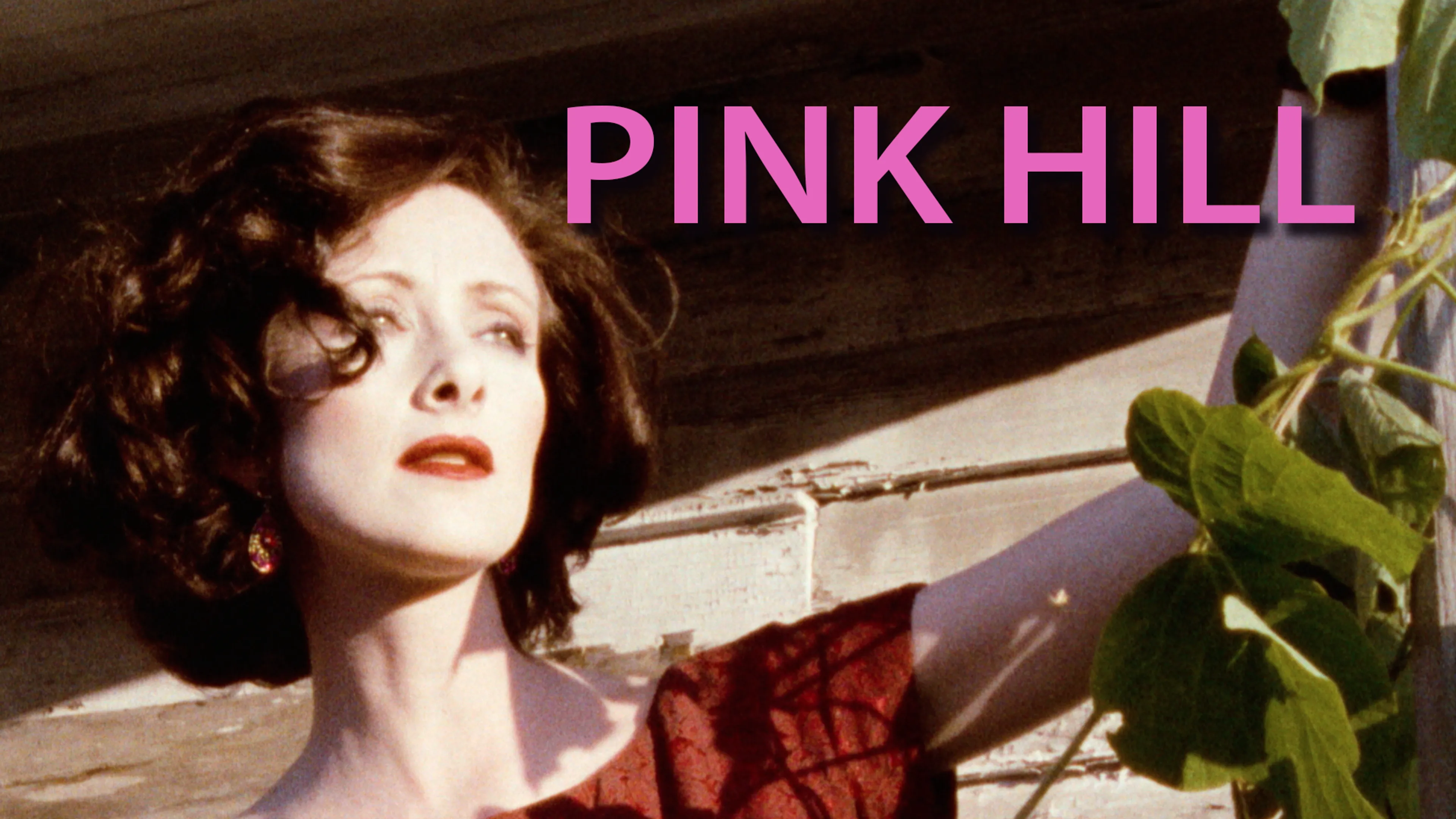 Pink Hill poster